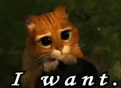Sad orange cat with big eyes
