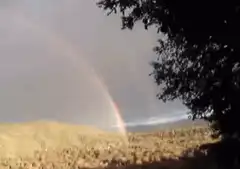 panning shot of a rainbow over a field