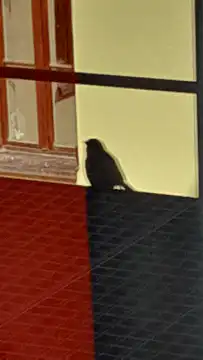 bird on windowsill