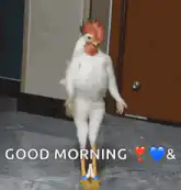 Dancing Chicken Good Morning