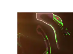 Glowing green and purple abstract shapes