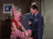 Honey West and Agent West