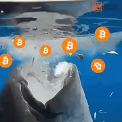 Whale eating bitcoin