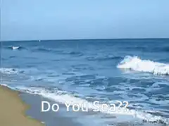 Do You Sea?? beach waves