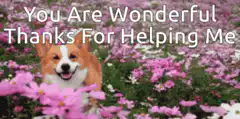 Corgi in Flowers with Thank You Text