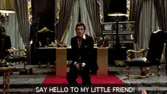 Say Hello to My Little Friend