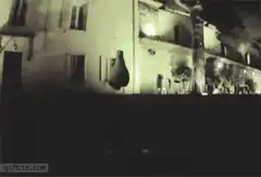 Cow falling from sky