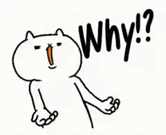 Confused cat why