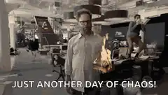 Just Another Day of Chaos