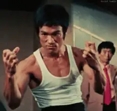 Bruce Lee ready stance