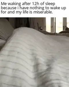 Dog yawning in bed meme