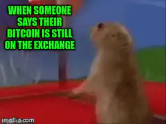 Confused prairie dog bitcoin meme