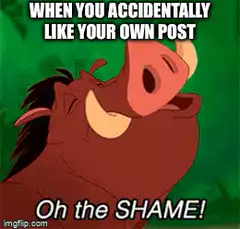 Pumbaa Oh the Shame Meme