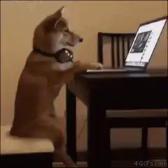 dog with headphones typing on laptop