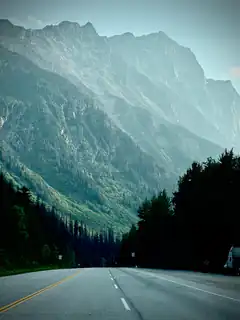 road through forested mountains