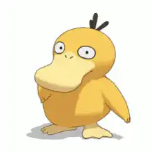 Psyduck shrugging