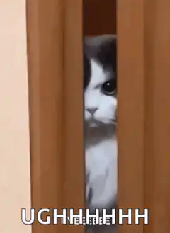 Cat peering through door with UGHHHHHH text