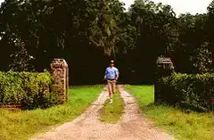 Man running down a country road
