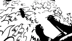 Time-lapse of a hand drawing a bird