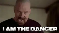 Walter White I Am The Danger