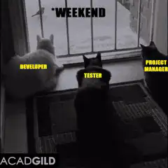 Cats watching bird labeled weekend bug jumps out