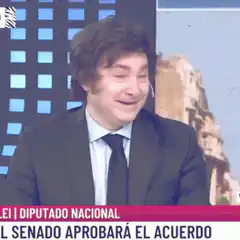 Javier Milei smiling on TV