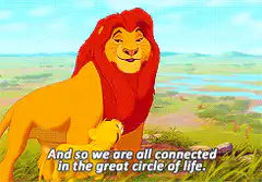 Mufasa great circle of life
