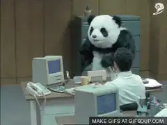 Panda mascot office dance