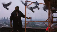 Kanye West releases pigeons