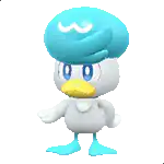 Quaxly standing idle