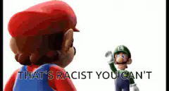 Mario and Luigi That's Racist You Can't