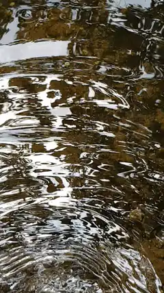 Ripples in a shallow stream