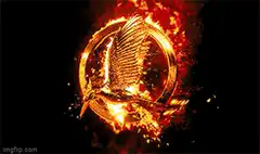 Mockingjay Bitcoin Rise
