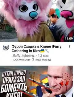 Furry gathering in Kiev with Putin meme