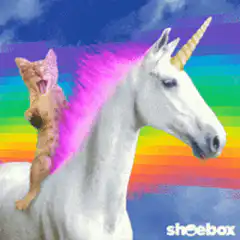 Screaming Cat on a Unicorn