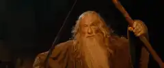 Gandalf You Shall Not Pass