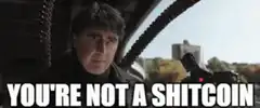 You're Not a Shitcoin