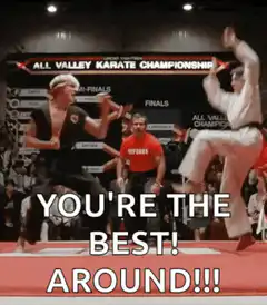 You're the best around karate