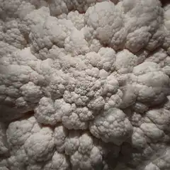 White cauliflower texture close-up