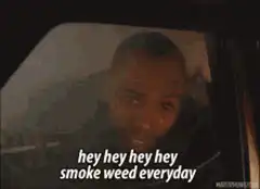Hey hey hey hey smoke weed everyday