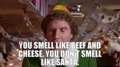 Buddy the Elf smells like beef and cheese