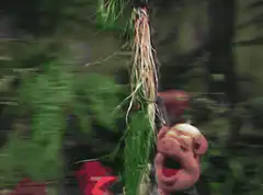 Animal Muppet stuck in rock
