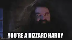 Hagrid calls Harry a rizzard