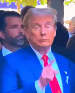 Donald Trump pointing then nodding