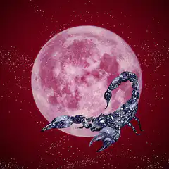 Scorpion silhouette against pink moon