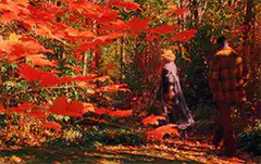 Couple walking through autumn forest