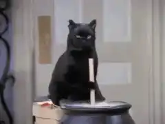 Black cat stirring a cauldron