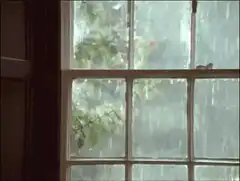 rain falling outside window