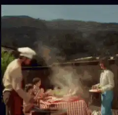 Family picnic explodes