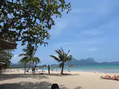 tropical beach with palm trees and mountains